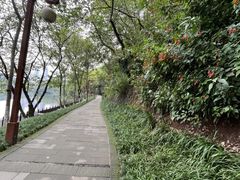 -重庆彩云湖湿地公园