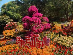 -广州市白云山风景名胜区