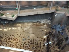-元代水闸遗址博物馆