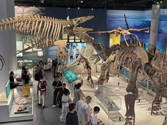 -国家自然博物馆