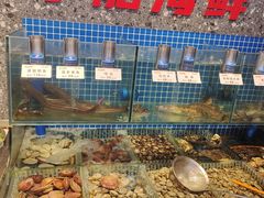 -大闫家烧烤·小海鲜家常菜(郑庄店)