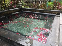 -厦门日月谷温泉渡假村