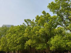 -元大都城垣遗址公园