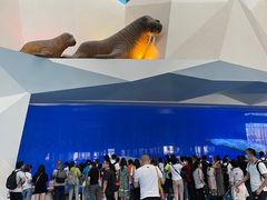 -泉城欧乐堡海洋极地世界