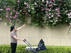 -田螺阿姨自营月嫂·育儿嫂(高新店)
