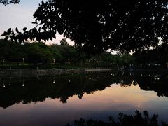 -荔湾湖公园