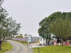 -空港花田景区