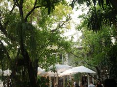 -Fern Forest Cafe