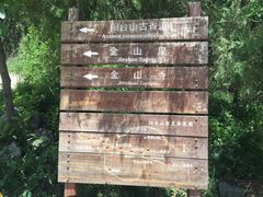 -阳台山自然风景区