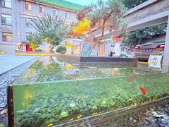 -庐灶江南·江南菜·四合院Bistro(东直门雍和宫·原华侨宾馆店)