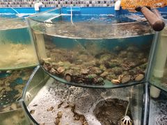 -仙螺岛海鲜自助餐厅(总店)