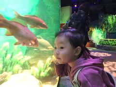 -沈阳海洋探索中心