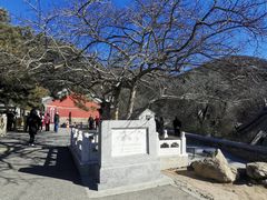 -潭柘寺景区