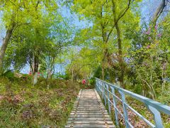 -幕燕滨江·长江观音景区