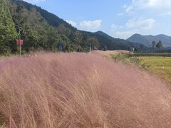 -东钱湖旅游度假区