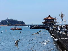 -郑庄脂渣海鲜楼(九水路店)