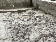 -金沙遗址博物馆