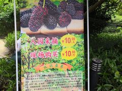 -广垦（茂名）国家热带农业公园
