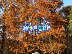 -上海海湾国家森林公园