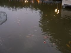 -碧水湾温泉