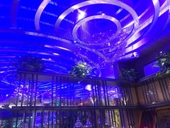 -老板恋上鱼(恒隆广场店)