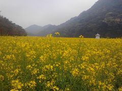 -广州市石门国家森林公园