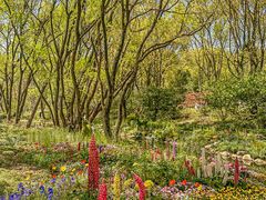 -上海共青森林公园