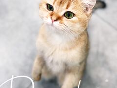 -极木²邸 人与宠物·互动社区