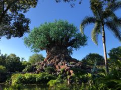 -奥兰多迪士尼动物王国乐园