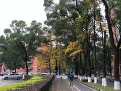 -四川大学(望江校区)