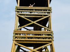 -盐城丹顶鹤湿地生态旅游区