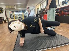 -温鉴良实用咏春拳