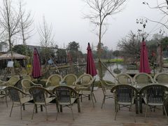 -洪湖家庭农场·团建·露营·会议
