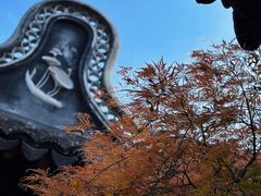 -上海醉白池公园