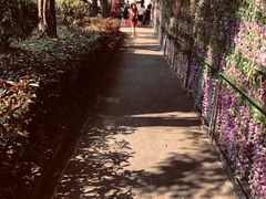 -李小龙乐园(顺德均安店)