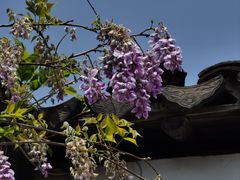 -东山风景区(洞庭东山)