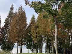 -眉山湿地公园(东坡区)