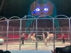 -俄罗斯国家大马戏团