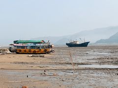 -北岐滩涂