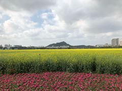 -光明小镇欢乐田园