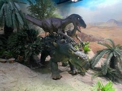 -国家自然博物馆