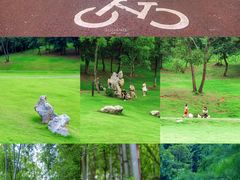 -潜山国家森林公园