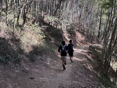 -西湖风景区十里琅珰-五云山