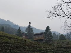-姑婆山旅游区
