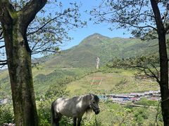 -萍乡武功山风景名胜区
