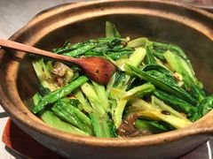 豆豉鲮鱼啫油麦菜-啫神·广州地标美食(北京路店)