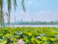 -济南大明湖景区