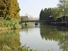 -溱湖国家湿地公园