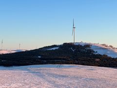 -塞罕坝国家级自然保护区