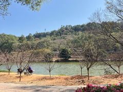 -南国桃园旅游度假区